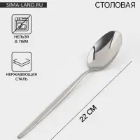 Ложка столовая Magistro &laquo;Блинк&raquo;, длина 22 см, нержавеющая сталь, серебристая