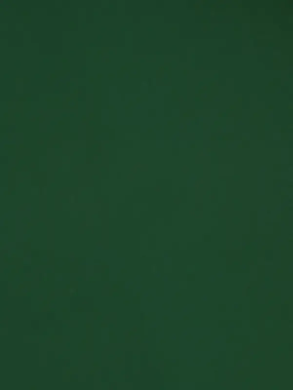 Пленка двухсторонняя для цветов и декора, 0.57&times;0.57 см, зелёный