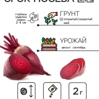 Семена Свёкла "Цилиндра", 2 г