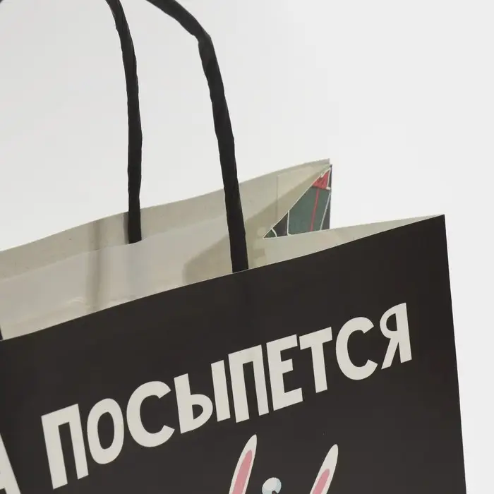 Пакет подарочный новогодний «А ты держись», 22 х 22 х 11 см Пакет подарочный новогодний «А ты держись», 22 х 22 х 11 см