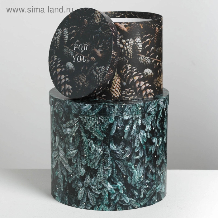 Набор подарочных коробок 5 в 1 «Новогоднее фото», 13 х 14‒19.5 х 22 см, Новый год