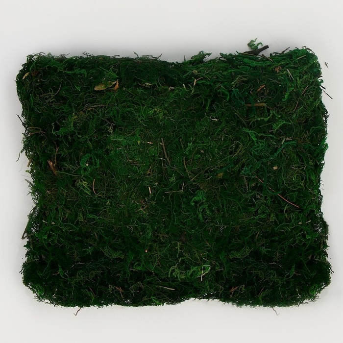 Мох для декора, 80 г, размер: 3 × 20 × 15 см Мох для декора, 80 г, размер: 3 × 20 × 15 см