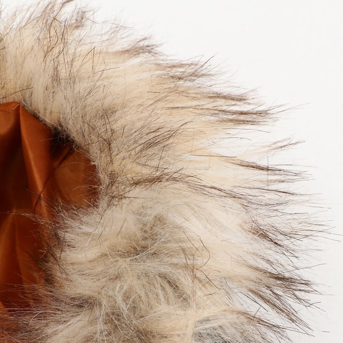 Комбинезон Комбинезон "Пушок", размер 16 (ДС 36 см, ОГ 46 см, ОШ 35 см), голубой