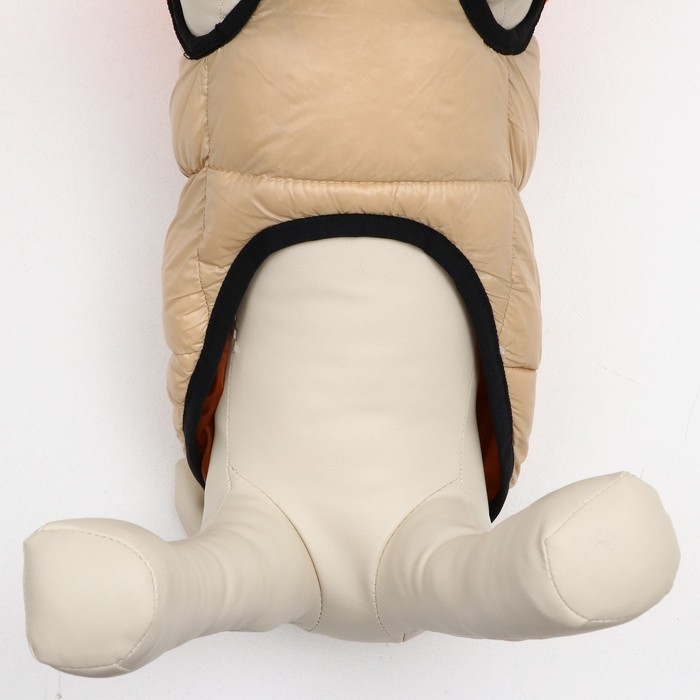 Куртка для собак на молнии, размер 16 (ДС 36 см, ОГ 46 см, ОШ 35 см), бежевая с оранжевым