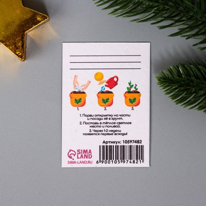 Набор открыток с семенами  Набор открыток с семенами "Вырасти сам" "Змеи" 5*7см