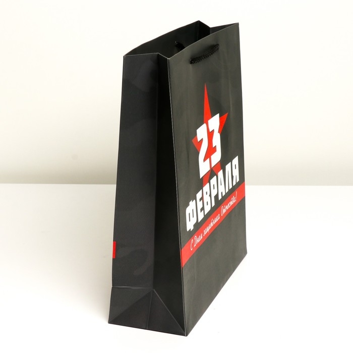 Пакет подарочный ламинированный вертикальный, упаковка, «С праздником!», M 26 х 30 х 9 см Пакет подарочный ламинированный вертикальный, упаковка, «С праздником!», M 26 х 30 х 9 см