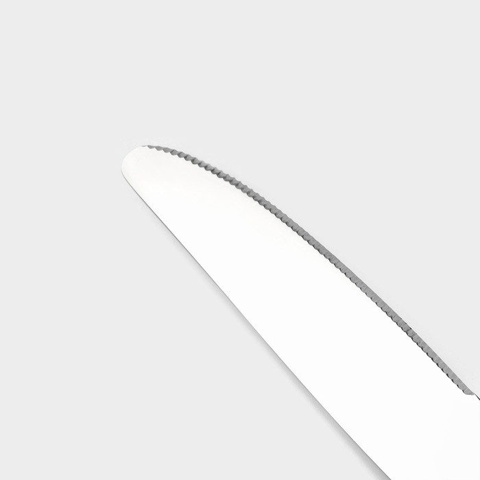 Набор ножей столовых из нержавеющей стали Magistro «Виконт», длина 24 см, 6 шт, цвет серебряный Набор ножей столовых из нержавеющей стали Magistro «Виконт», длина 24 см, 6 шт, цвет серебряный