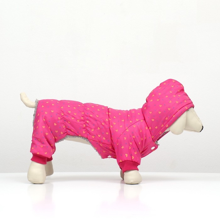 Комбинезон  Комбинезон "нежный путь" на меховом подкладе, размер 2XL (ДС 45, ОШ 45, ОГ 55 см), розовый