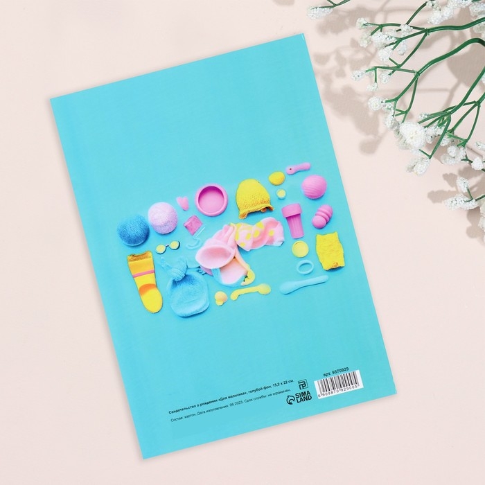 Папка под свидетельство о рождении  Папка под свидетельство о рождении "Для мальчика" голубой фон, А5