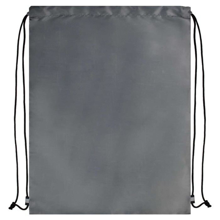 Мешок для обуви 480 х 360 мм, Феникс, шелкография, сетка,  Мешок для обуви 480 х 360 мм, Феникс, шелкография, сетка, "Собака в очках"