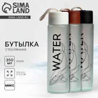 Бутылка для воды WATER, стекло, цвет МИКС, 350 мл