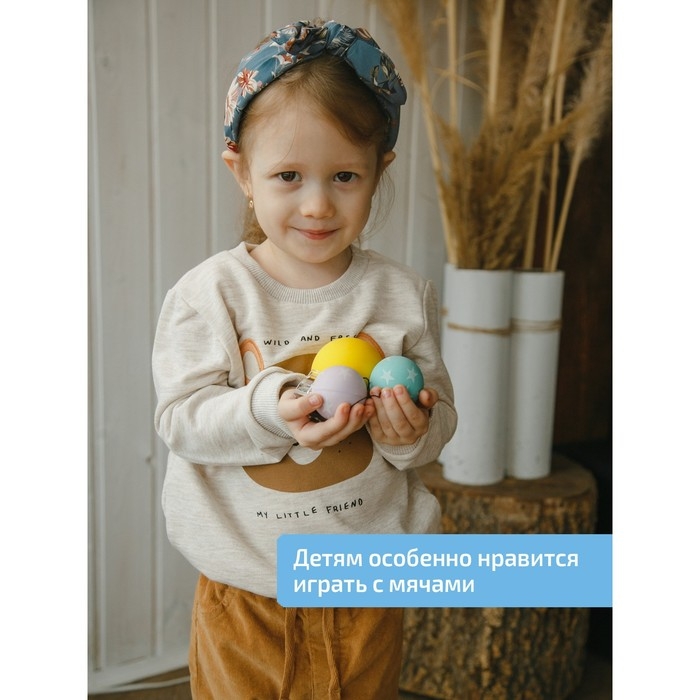 Доска Бильгоу + 10 предметов, комплект «Успех» для мозжечковой стимуляции Доска Бильгоу + 10 предметов, комплект «Успех» для мозжечковой стимуляции