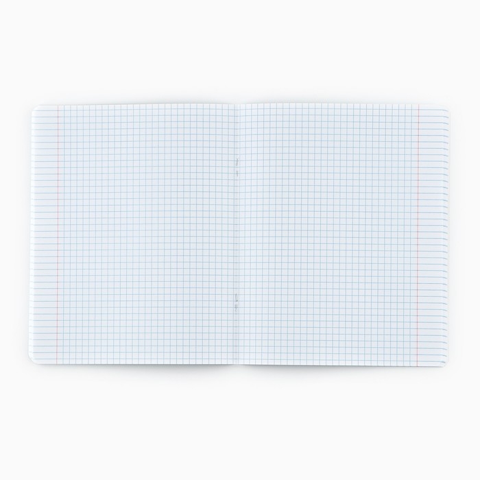 Тетрадь в клетку, 48 листов А5 на скрепке , внутренний блок №1 МИКС &laquo;1 сентября: Мотивационные&raquo; Мат. лам, тиснение