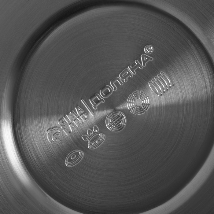 Чайник со свистком из нержавеющей стали Доляна «Расцвет», 2,8 л, фиксированная ручка, с индикатором нагрева