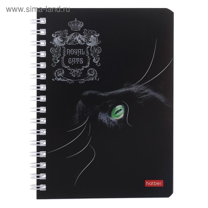 Записная книжка А6, 80 листов, в клетку, на гребне, Royal Cats, картонная обложка, блок офсет, МИКС Записная книжка А6, 80 листов, в клетку, на гребне, Royal Cats, картонная обложка, блок офсет, МИКС