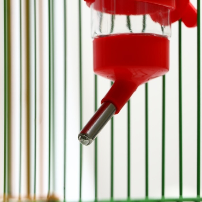 Поилка для грызунов 125 мл, 12,5 Х 4,5 см, красная Поилка для грызунов 125 мл, 12,5 Х 4,5 см, красная