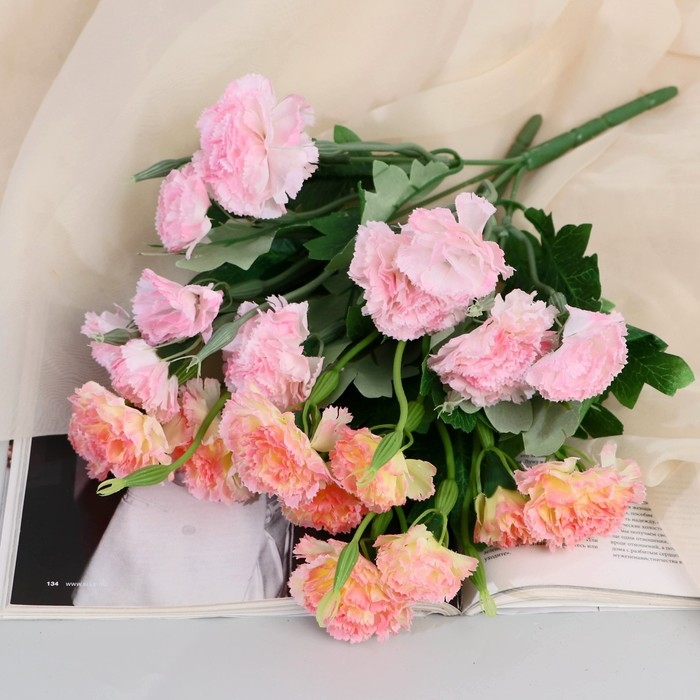 Букет Букет "Гвоздика Аманда" 26 см, микс