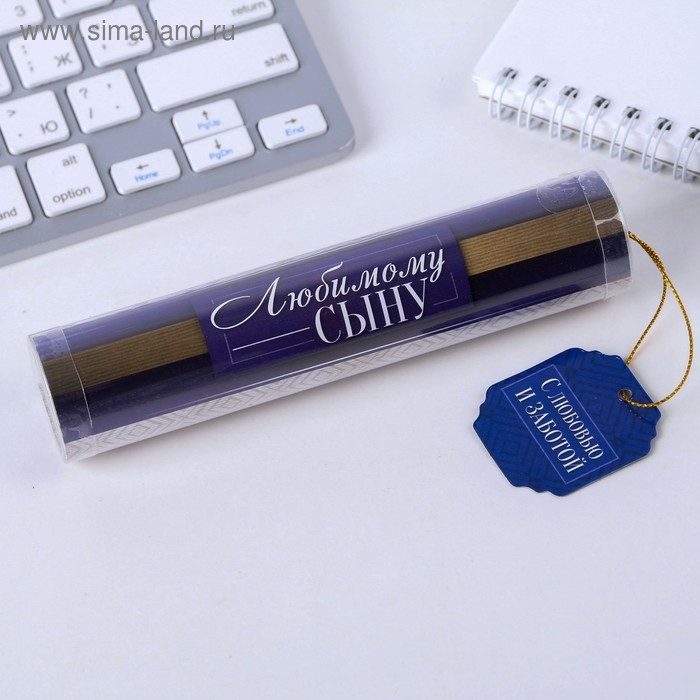 Ручка шариковая синяя паста в тубусе «Любимому сыну», пластик Ручка шариковая синяя паста в тубусе «Любимому сыну», пластик