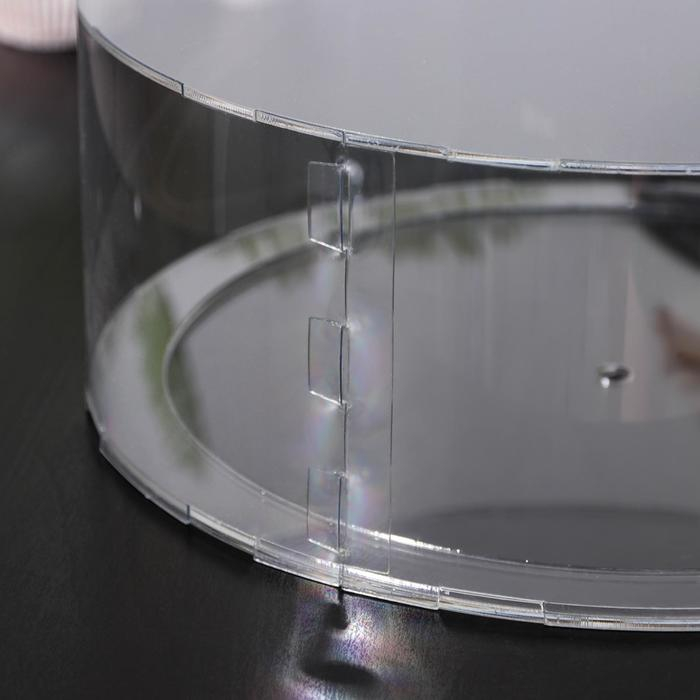 Фальшярус для торта, цилиндр, d=20 см, h=12 см, цвет прозрачный Фальшярус для торта, цилиндр, d=20 см, h=12 см, цвет прозрачный