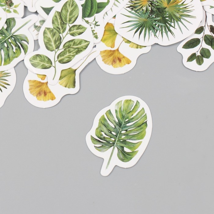 Наклейки для творчества Наклейки для творчества "Зелёные листья" набор 46 шт 6,4х4,4х1,1 см