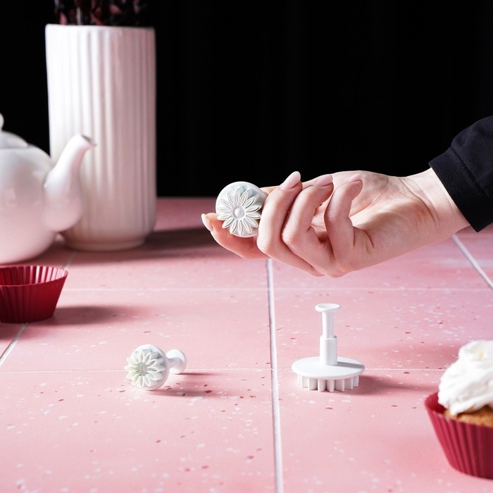 Набор плунжеров кондитерских Доляна «Герберы», 3 шт, размеры цветков: 4,3 см, 4,8 см, 5,5 см Набор плунжеров кондитерских Доляна «Герберы», 3 шт, размеры цветков: 4,3 см, 4,8 см, 5,5 см