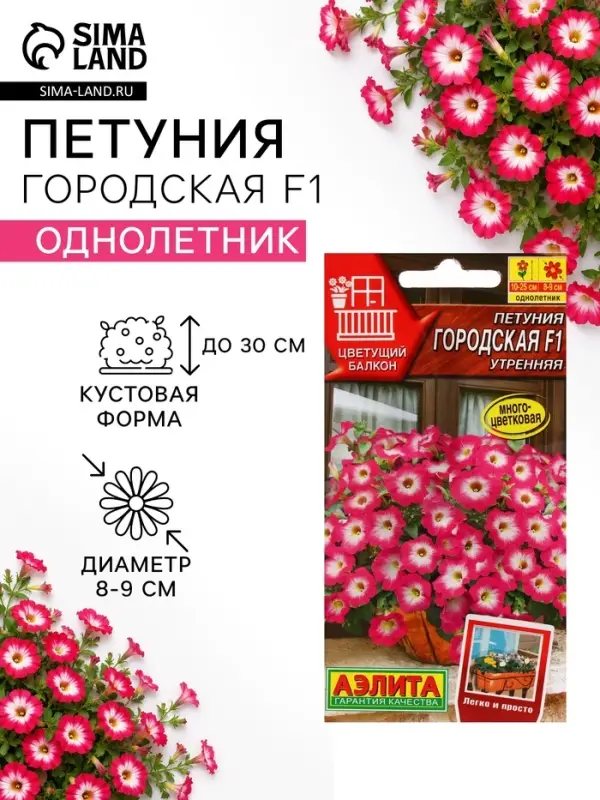 Семена цветов Петуния "Городская", F1, утренняя, драже в пробирке, 7 шт