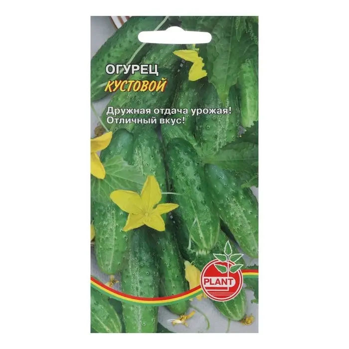 Семена Огурец  Семена Огурец "Кустовой", раннеспелый, 10 шт