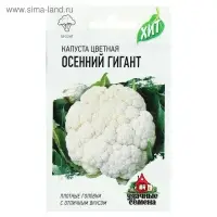 Семена Капуста цветная "Осенний гигант", ц/п, 0,1 г серия ХИТ х3 Семена Капуста цветная "Осенний гигант", ц/п, 0,1 г серия ХИТ х3