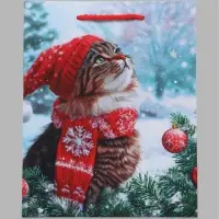 Пакет подарочный &laquo;Котик в красной шапке&raquo;, 18&times;10&times;22.3 см