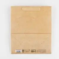 Пакет подарочный ламинированный, упаковка, &laquo;Крафтовый&raquo;, ML 23&times;27&times;11.5 см