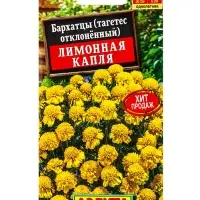 Семена цветов Бархатцы Лимонная капля отклоненные , Ц/П,0,3 г Семена цветов Бархатцы Лимонная капля отклоненные , Ц/П,0,3 г