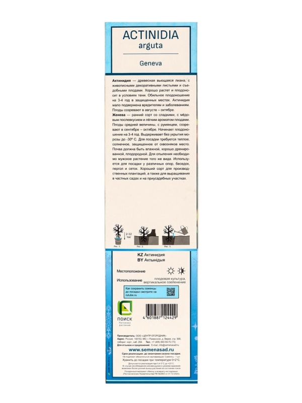 Актинидия аргута (Серия Северный сад) «Женева », саженец,1 шт., туба Актинидия аргута (Серия Северный сад) «Женева », саженец,1 шт., туба