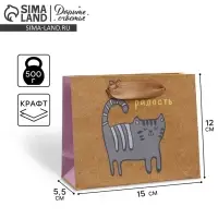 Пакет подарочный крафтовый, упаковка, «Несу радость», S 15 х 12 х 5.5 см Пакет подарочный крафтовый, упаковка, «Несу радость», S 15 х 12 х 5.5 см
