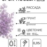 Семена цветов Гвоздика многолетняя &laquo;Лавандовая&raquo; 0.05 г