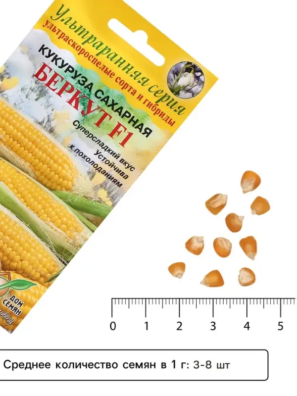 Семена Кукуруза сахарная &laquo;Беркут&raquo;, F1, 8 шт., ультраранняя, &laquo;Дом семян&raquo;