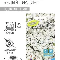 Семена Цветов Иберис зонтичный "Белый Гиацинт" ,0 ,15 г , Семена Цветов Иберис зонтичный "Белый Гиацинт" ,0 ,15 г ,