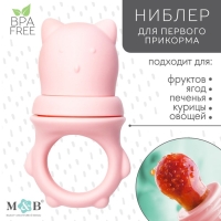 Ниблер для прикорма «Мишка» с силиконовой сеточкой, цвет розовый