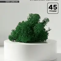 Мох стабилизированный &laquo;Ель&raquo; 45 г (&plusmn;5 г)