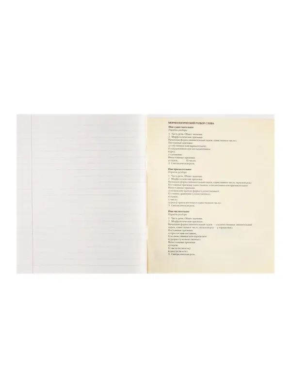 Предметная тетрадь по русскому языку Calligrata &laquo;Животные мемы&raquo;, 36 листов, в линейку, со справочным материалом, обложка из мелованной бумаги