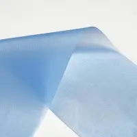 Лента на выпускной &laquo;Выпускник детского сада&raquo;, шёлк голубой фольга