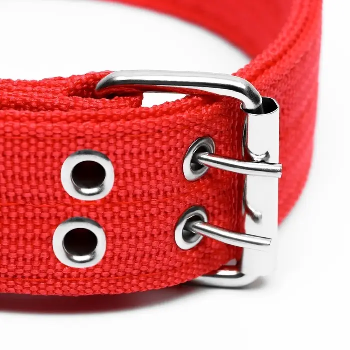 Ошейник четырехслойный, 64&times;4 см, ОШ 50-58 см, полиэстер, красный