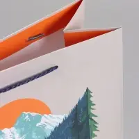 Пакет подарочный "Путь сильных" ламинированный 26 х 12 х 32 см