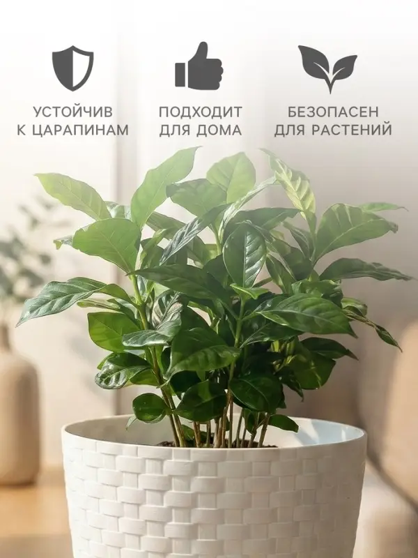 Горшок для цветов с поддоном &laquo;Ротанг&raquo;, 2 л, d=15 см, h=14 см, пластиковый, белый