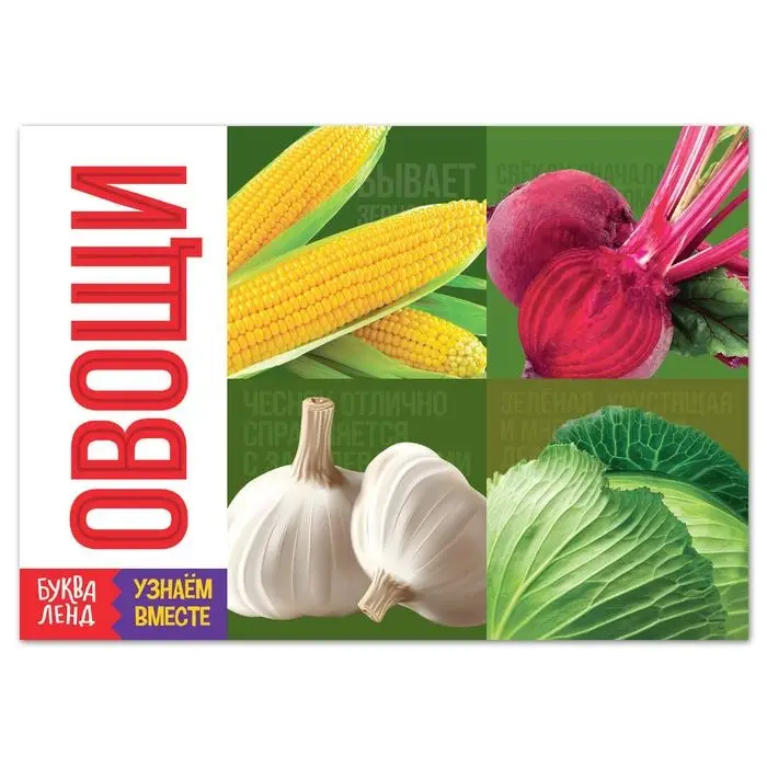 Обучающая книга &laquo;Овощи&raquo;, 20 стр.
