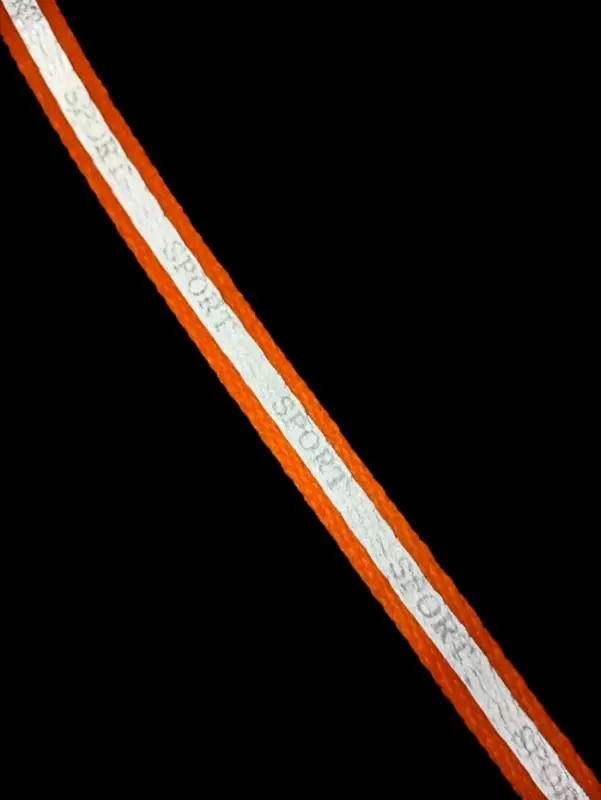 Ошейник Ошейник "Спорт" со светоотражающей полосой, 31 х 1 см, оранжевый