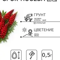 Семена цветов Люпин "Красное пламя", ц/п,  0,5 г