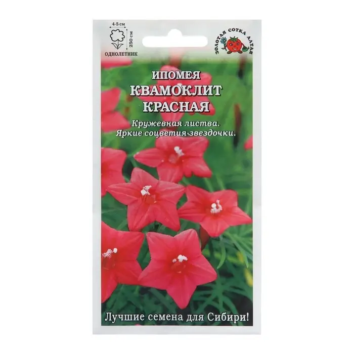 Семена цветов Ипомея Семена цветов Ипомея "Квамоклит Красная", 0,3 г