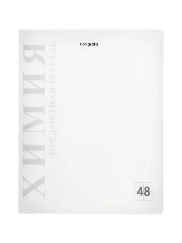 Комплект 12 предметных тетрадей 48 листов, справочная информация, 60гр, пластиковая обложка   109633