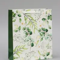 Пакет подарочный ламинированный, упаковка, Present for you, ML 21&times;25&times;8 см