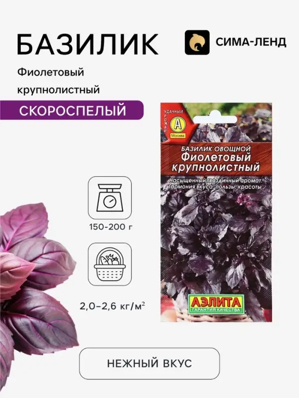 Семена Базилик овощной &laquo;Фиолетовый крупнолистный&raquo;, 0.1 г, &laquo;Аэлита&raquo;